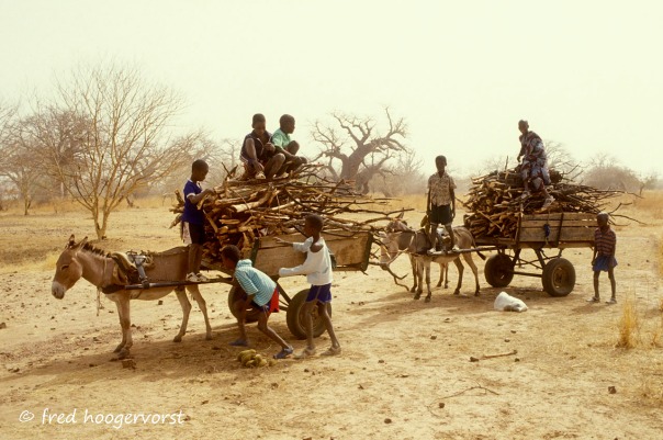 Mali, Sahel Country, Energy Crisis